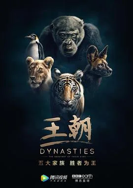 王朝 第一季 英语版