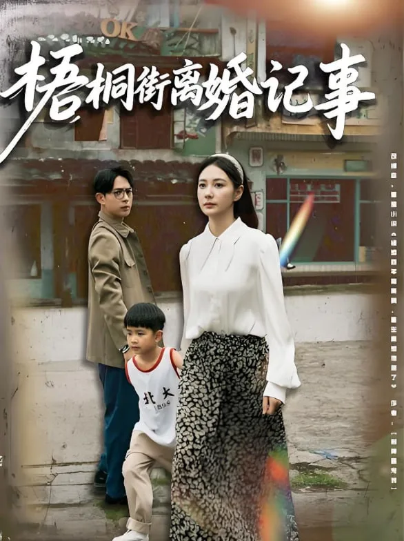 梧桐街离婚记事